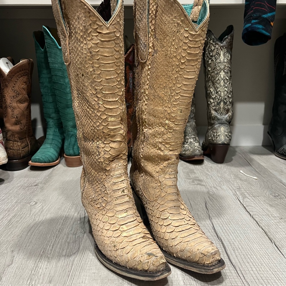 Wms Full Python size 7 1/2